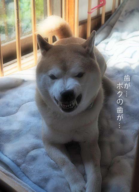 12日ブログ3
