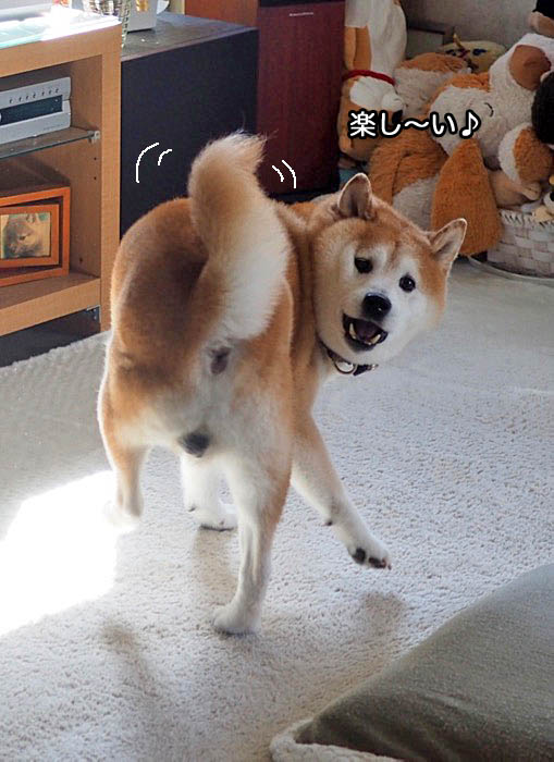 30日夕ブログ７
