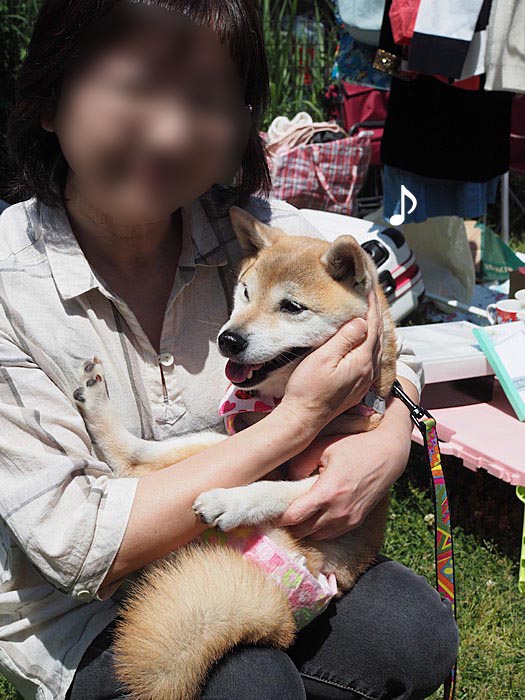 20日ブログ６