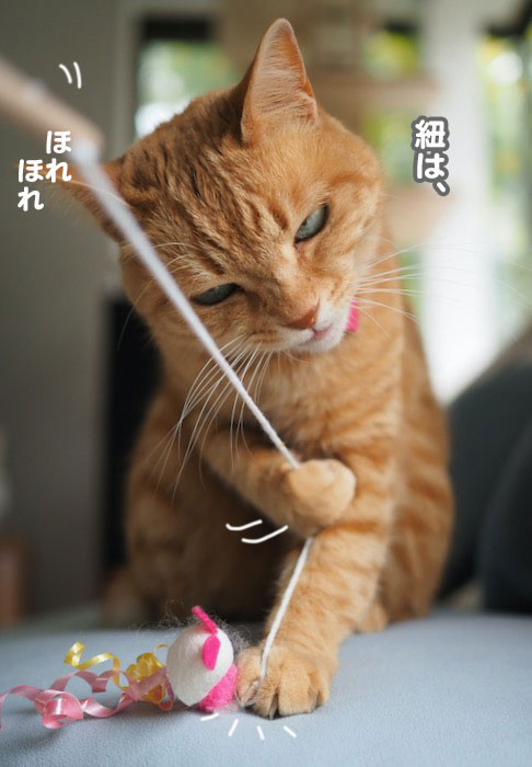 21日夕ブログ4
