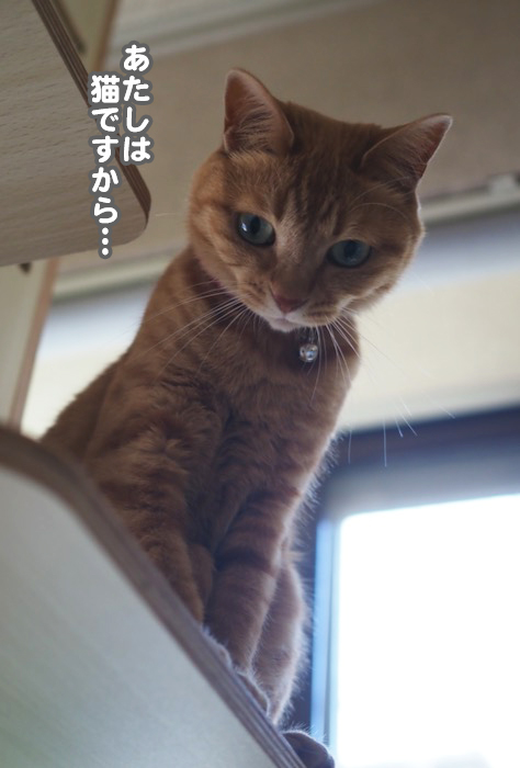 9日夕ブログ５