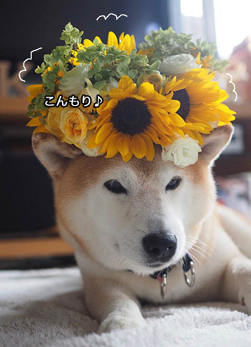 30日午後ブログ５