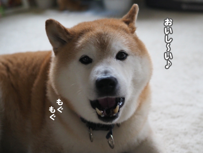 10日夕ブログ９