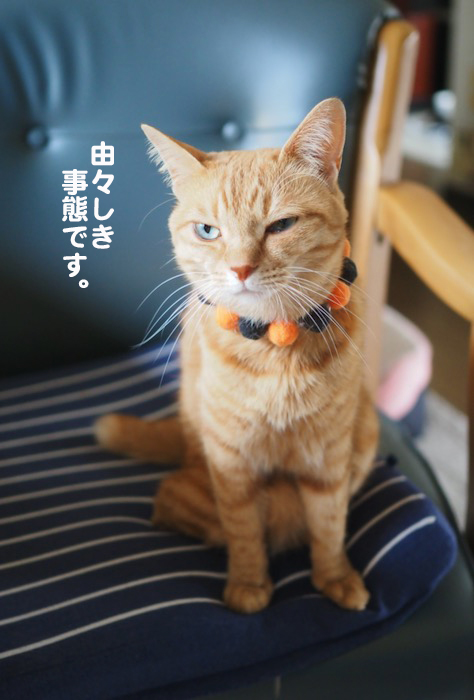 25日ブログ５