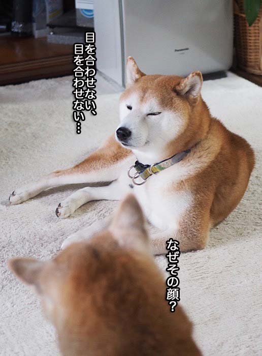 6日午後ブログ11