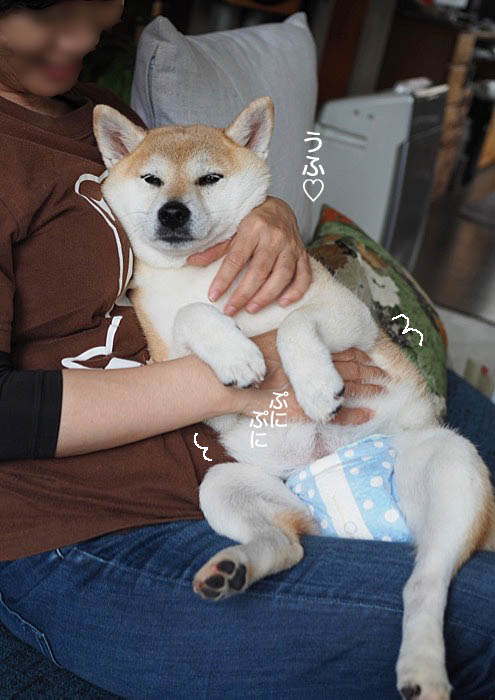 4日ブログ7