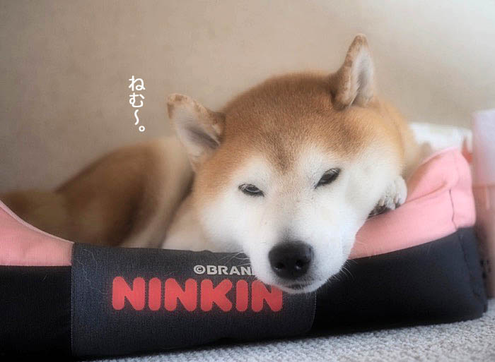 2日夜ブログ５