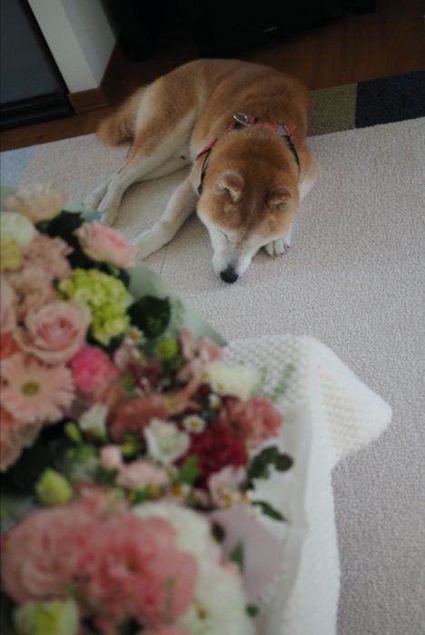 14日ブログ１