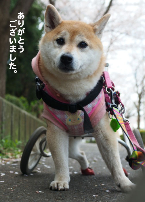 13日夜ブログ13