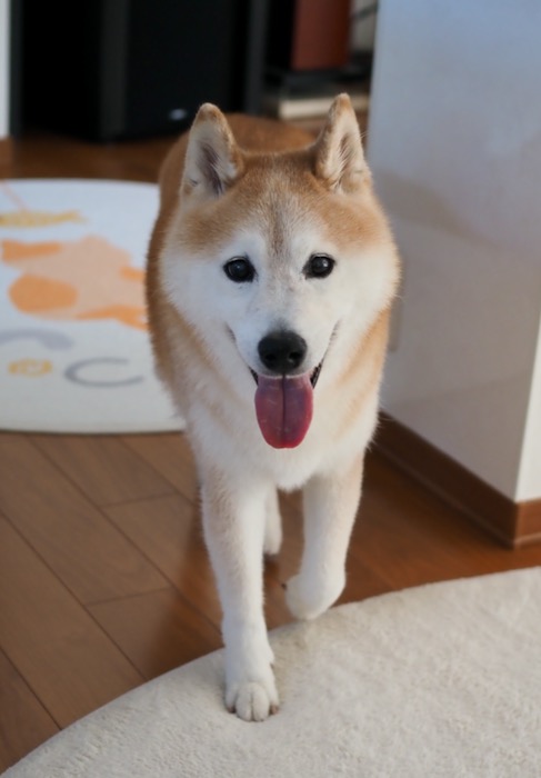 21日ブログ１