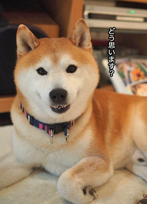 31日夜ブログ５
