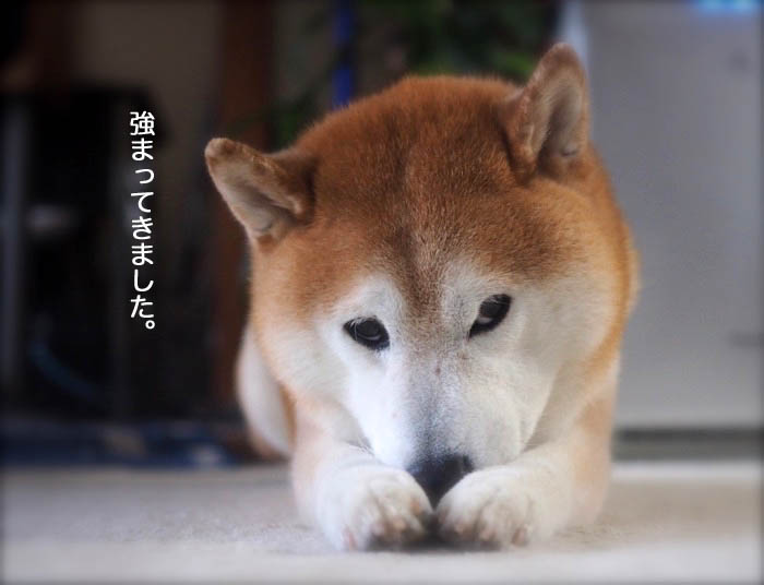 1日ブログ３