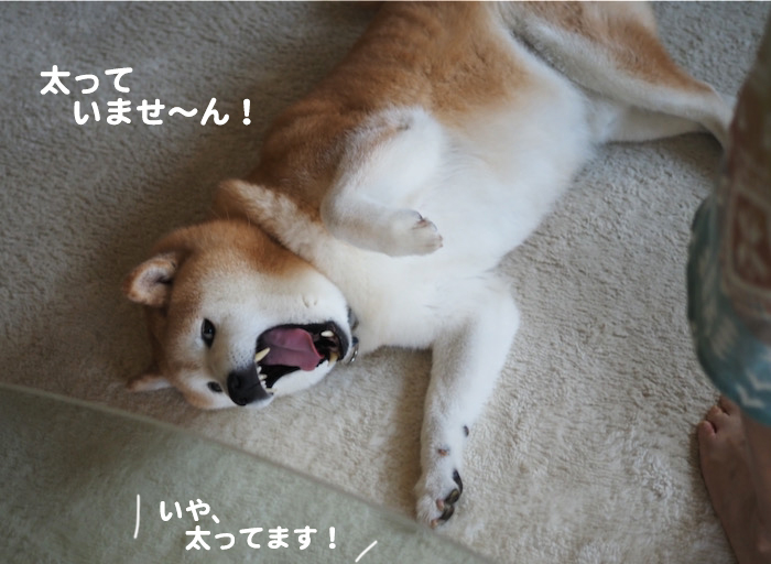 7日ブログ４