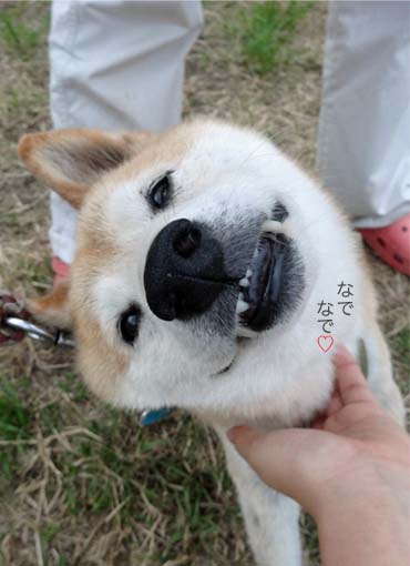 30日ブログ9.jpg