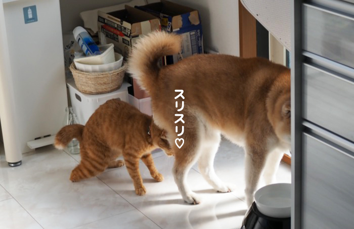 3日夕ブログ８