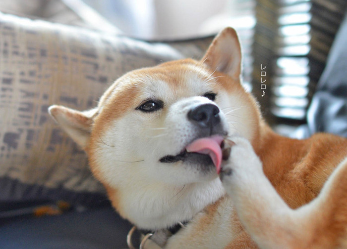 12日ブログ3