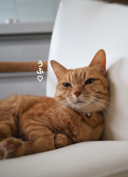 22日ブログ３