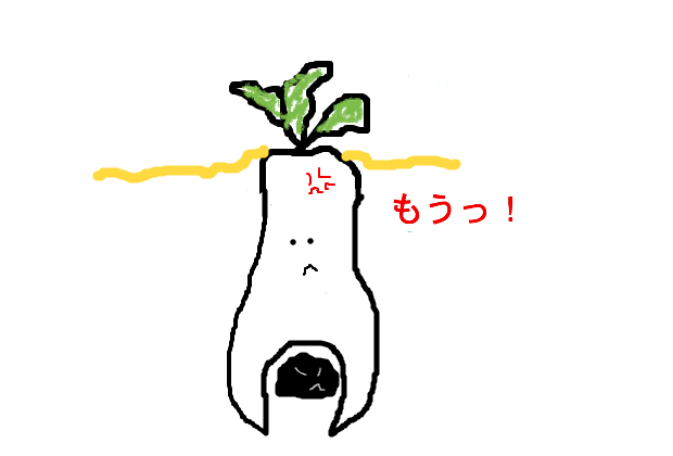 BlogPaint