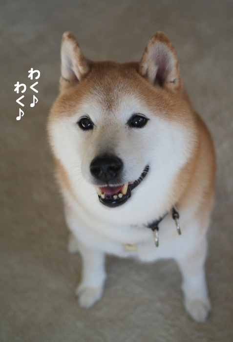 8日ブログ5