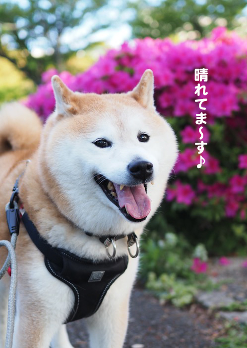 4日ブログ３