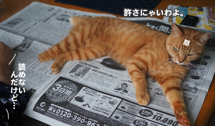 22日ブログ５