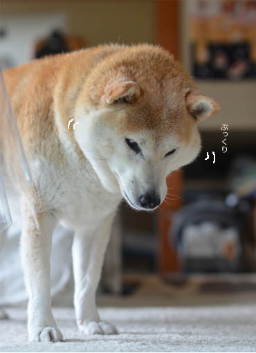 2日ブログ6.jpg
