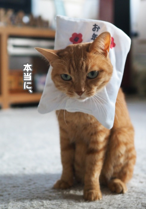 5日ブログ３