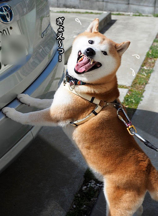 14日ブログ７