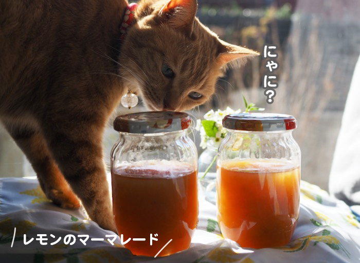 7日夕ブログ４