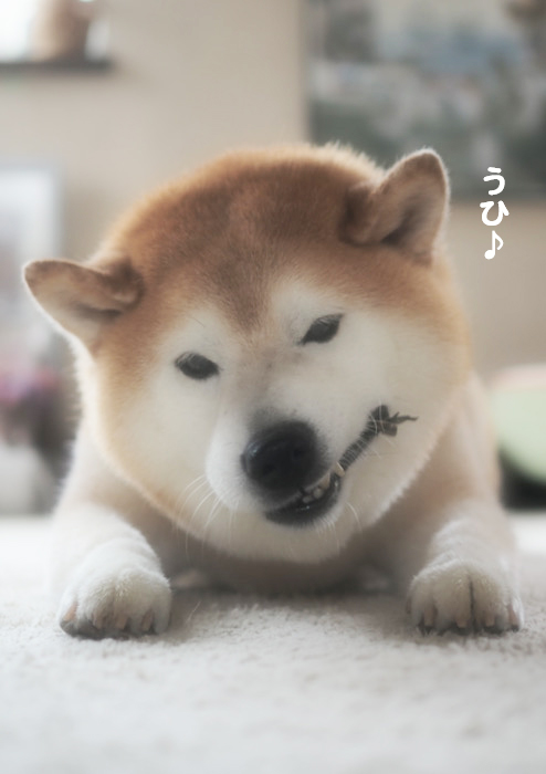 19日夕ブログ３