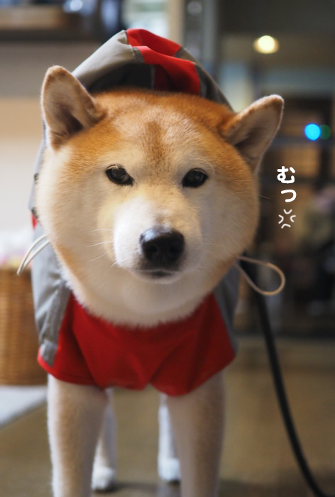 14日ブログ１