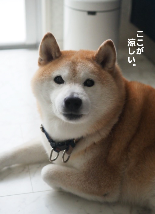 3日夕ブログ２
