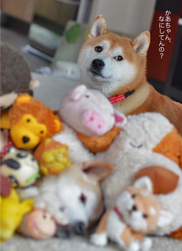 26日ブログ4.jpg