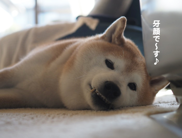 5日夕ブログ５