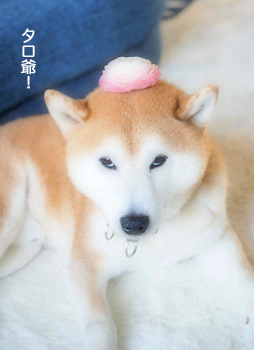 18日ブログ4