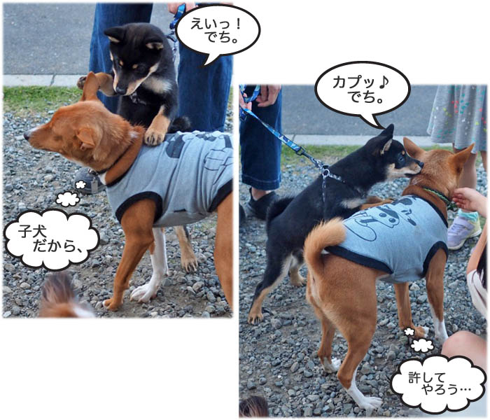 13日ブログ７