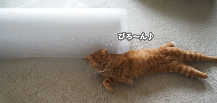 7日夕ブログ７