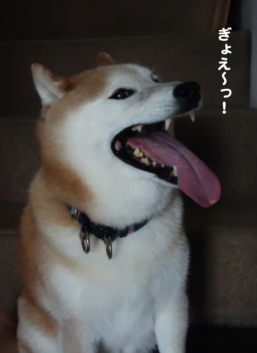 3日夜ブログ３