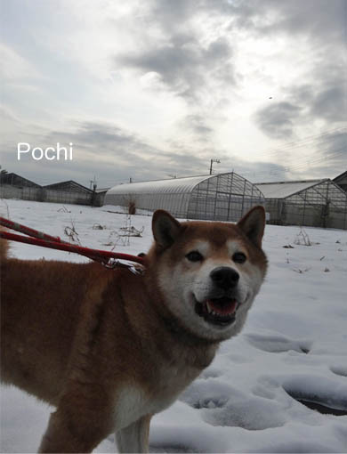 19日ブログ5.jpg