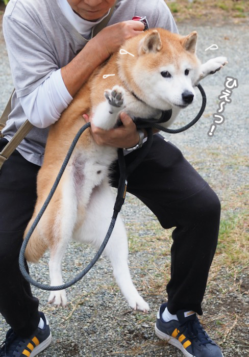 15日ブログ３