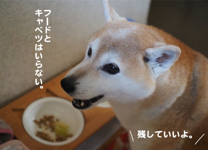 2日夕ブログ４