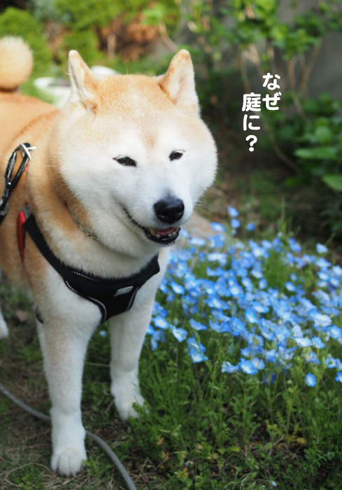 25日夕ブログ2