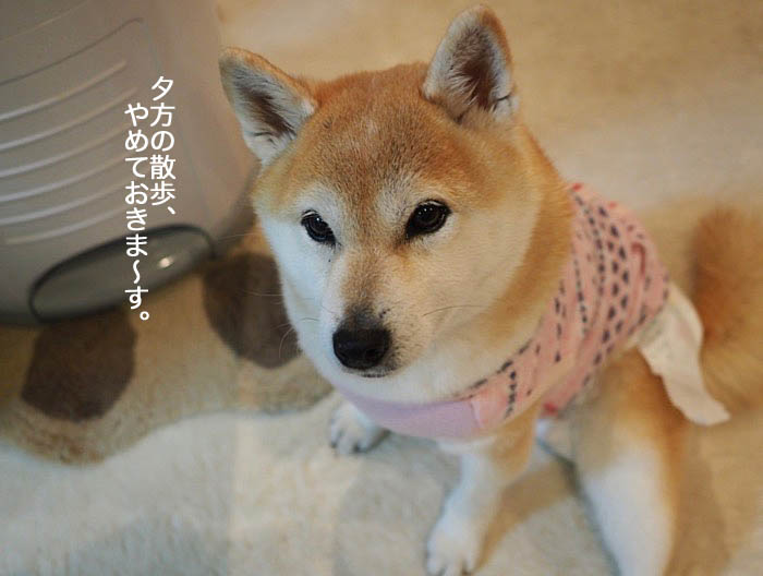 27日夜ブログ３