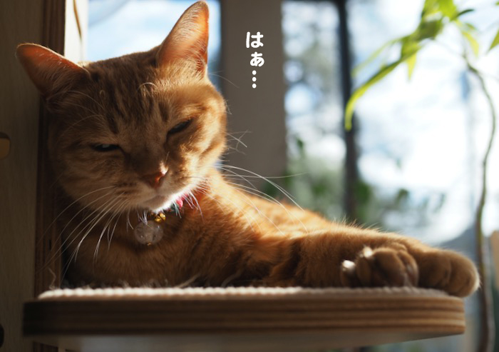 23日ブログ２