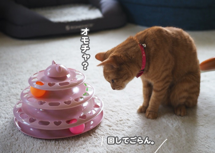 15日夕ブログ４