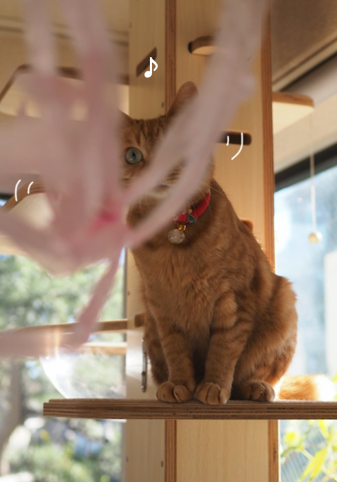 23日ブログ２