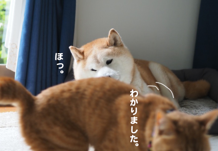 13日夕ブログ７