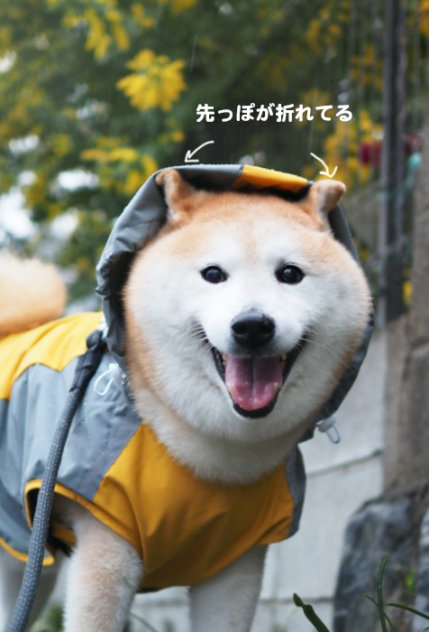 8日夕ブログ５