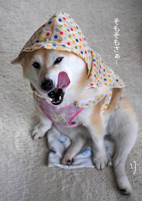 29日ブログ４
