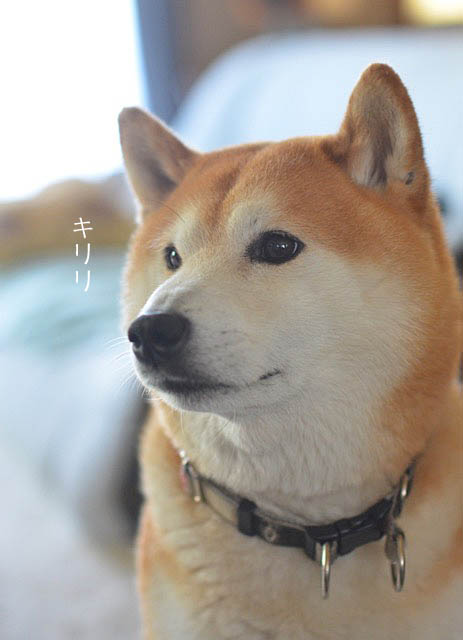 28日ブログ9